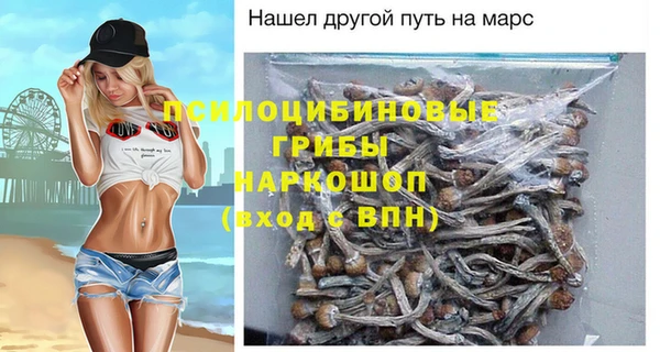 МДПВ Абаза