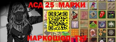 гидра Можга