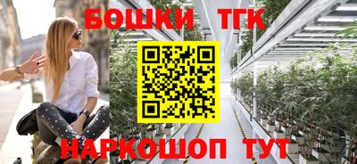 гидра Можга