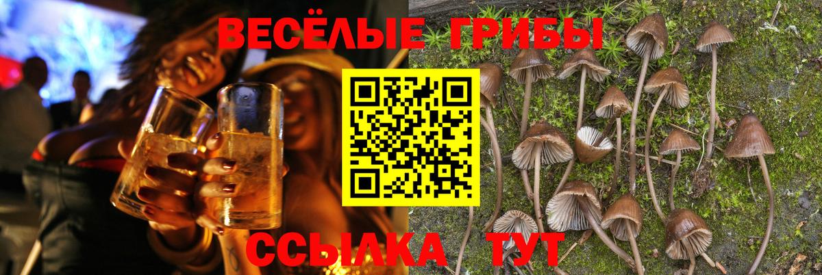 Сафоново  Галлюциногенные грибы мухоморы  Псилоцибиновые грибы MAGIC MUSHROOMS  Вход с VPN 